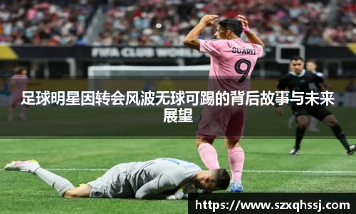 智博19有限公司